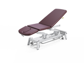 Vivinova Chiropractic Bed Echo-Basic ETC-AB000102